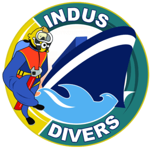 Indus Diver.png